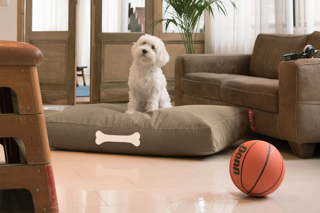 Fatboy Doggielounge Canvas Large Hundebett Taupe Grey