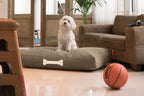 Fatboy Doggielounge Canvas Large Hundebett Taupe Grey