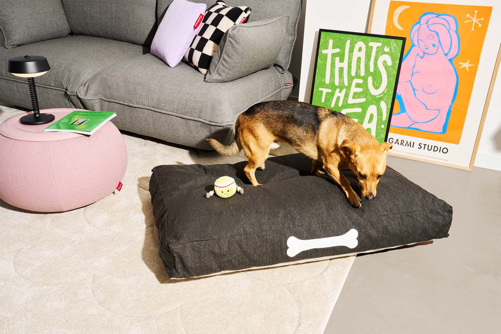 Fatboy Doggielounge Olefin Large Rock Grey – Action